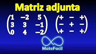 What is an Adjoint Matrix and a Cofactor Matrix?