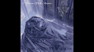 Teeth Of The Fae - Comforted By Sorrow (Dungeon Synth, Noise, Dark Ambient)