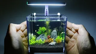 The World's Smallest Plant Aquarium #1