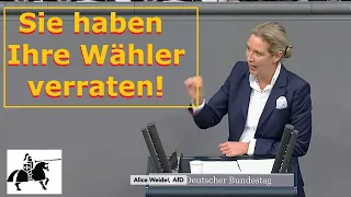 Alice Weidel rechnet mit FDP ab: "Nehmen Sie nie wieder das Wort "Freiheit" in den Mund!"