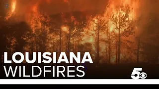 Gov. Sanders sends firefighters to Louisiana to help with wildfire