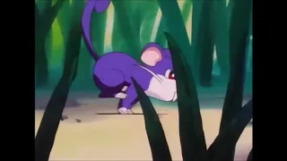 Rattata Pokédex Entry - Pokemon, I Choose You