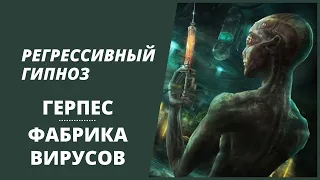 Откуда Появился ГЕРПЕС. Место Зарождения Вирусов [ Регрессивный Гипноз ]