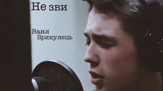 Ваня Брикулець - Не зви (студія)