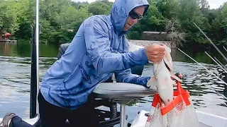 1st place and big fish in logan martin bass tournament in late may