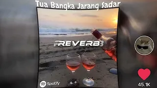 BOTOL SU TUNGGU ( REVERB )