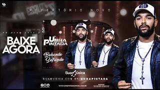 Unha Pintada - Bebendo e Sofrendo - Ao Vivo 2K18.05 - Repertório Novo