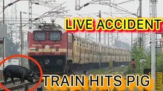 || LIVE TRAIN ACCIDENT ||  TRAIN HITS PIG || ANIMAL RUN OVER BY TRAIN|| ERNAKULAM-PATNA || EXPRESS