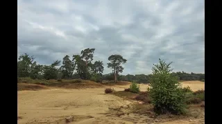 Weerbericht vrijdagmiddag: Weekend meest droog