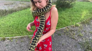 Анаконда душит девушку Anaconda strangles a girl