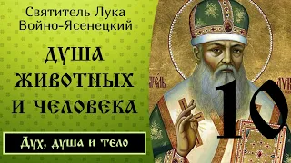 10/24 Душа животных и человека.Ч.1☦️Лука Войно-Ясенецкий @SpasenieVoHriste