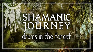 SHAMANIC JOURNEY • Drums & Nature Sounds • Activate Your Higher Mind •  Trance and Meditation