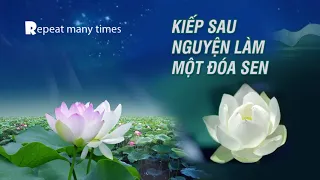 Kiếp Sau Nguyện Làm Một Đóa Sen | Lặp lại n lần -Nhạc Cổ Phong -Lời Việt Lee Phú Quý - nghe thư giãn