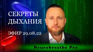 Принцип неопределенности. Второе кольцо силы. Как жить в эпоху перемен