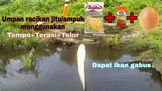 LANGSUNG TERBUKTI...!!! Dengan umpan racikan ini bisa dapat ikan gabus dan ikan betok