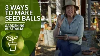 3 simple and fun ways to make seed balls for your garden