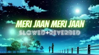 Meri Jaan Meri Jaan - B Praak // Bachchan Pandey //#slowedandreverb.