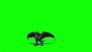 Dragon green screen