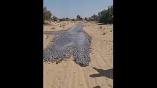 Um rio de peixes no deserto - Explicação mais aceitável é .