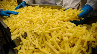 Premium French Fries Production Plant in Korea | Korean Street Food