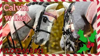 🎄VLOGMAS #11🎄 Calvin w IKEI | Trening Ujeżdżeniowy- JEST SŁABO 😵‍💫🥲