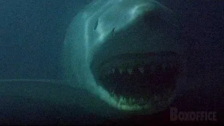 This giant shark is hungry | Jaws 3-D | CLIP