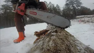 Cutting and Sorting Firewood Logs