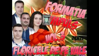 COLAJ FORMATIA IMPULS 2016  HORE SI SARBE CANTECE DE PETRECERE ALBUM FLORICELE DE PE VALE