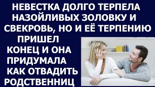 Истории из жизни Невестка долго терпела назойливых золовку и свекровь, ну и ее