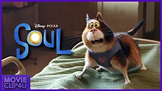 Soul (2O2O) - I Don’t Wanna Be A Cat | Hospital Scene | MᴏᴠɪᴇCʟɪᴘ4ᴜ | Movie Clip 4K