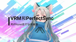 什么是VRM和PerfectSync？