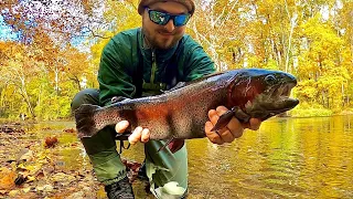 Fishing for BIG NEW JERSEY RAINBOW TROUT | Creating a Seasonal Recipe