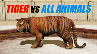 Far Cry 4 Animal Fight - Tiger Attack vs All Animals Battles