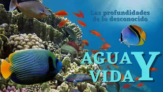 DOCUMENTALES: Agua y vida / mini serie Water Life