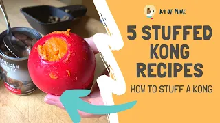 5 Stuffed Kong Recipes: How to Stuff a Kong Dog Toy!