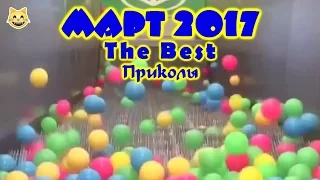 МАРТ THE BEST ПРИКОЛЫ 2017  Лучшая Подборка Приколов #9 Угарные Животные, нелепые случаи