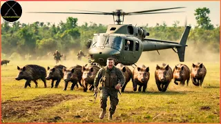 How Do American Farmers And Hunters Deal With Millions Of Wild Boars In Texas | Wild Hunt Adventures