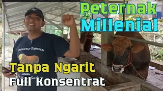 Peternak Sapi Millenial - Tanpa Ngarit - Full Konsentrat