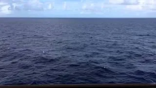 Ocean View - 1 Full Hour HD - Cruise Ship Balcony
