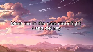 Meet me in the pale moonlight Lana del ray karaoke