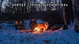 Winter Camping with My Dog