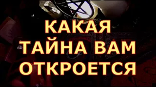 КАКАЯ ТАЙНА ВАМ ОТКРОЕТСЯ что ждет вас о чем вы скоро узнаете#таролюбви#таросегодня#картытаро