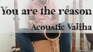 You are the reason  - Calum Scott - Acoustic Valiha by Rado Fentsu