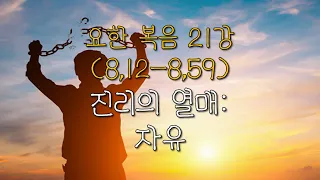 요한 복음 제21강/ 8,12-59/ "진리가 너희를 자유롭게 하리라."