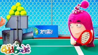 Los Fantásticos Oddbods Ganan El Torneo | Oddbods | Dibujos Animados Divertidos para Niños