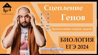 СЦЕПЛЕНИЕ ГЕНОВ. Хромосомная теория Т. Моргана для задач № 28 ЕГЭ 2024 |ЕГЭ БИОЛОГИЯ|Freedom|