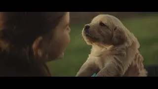 2014 Chevy Commercial - Maddie