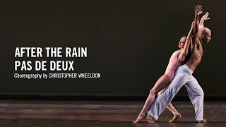 After the Rain Pas de Deux