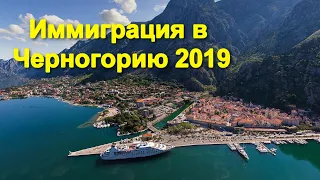 Стрим. Иммиграция в Черногорию 2019. Ответы на вопросы № 17