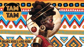 Organic House & Afro House Mix | Keinemusik | Black Coffee | Peggy Gou | Roy Rosenfeld | Maxi Meraki